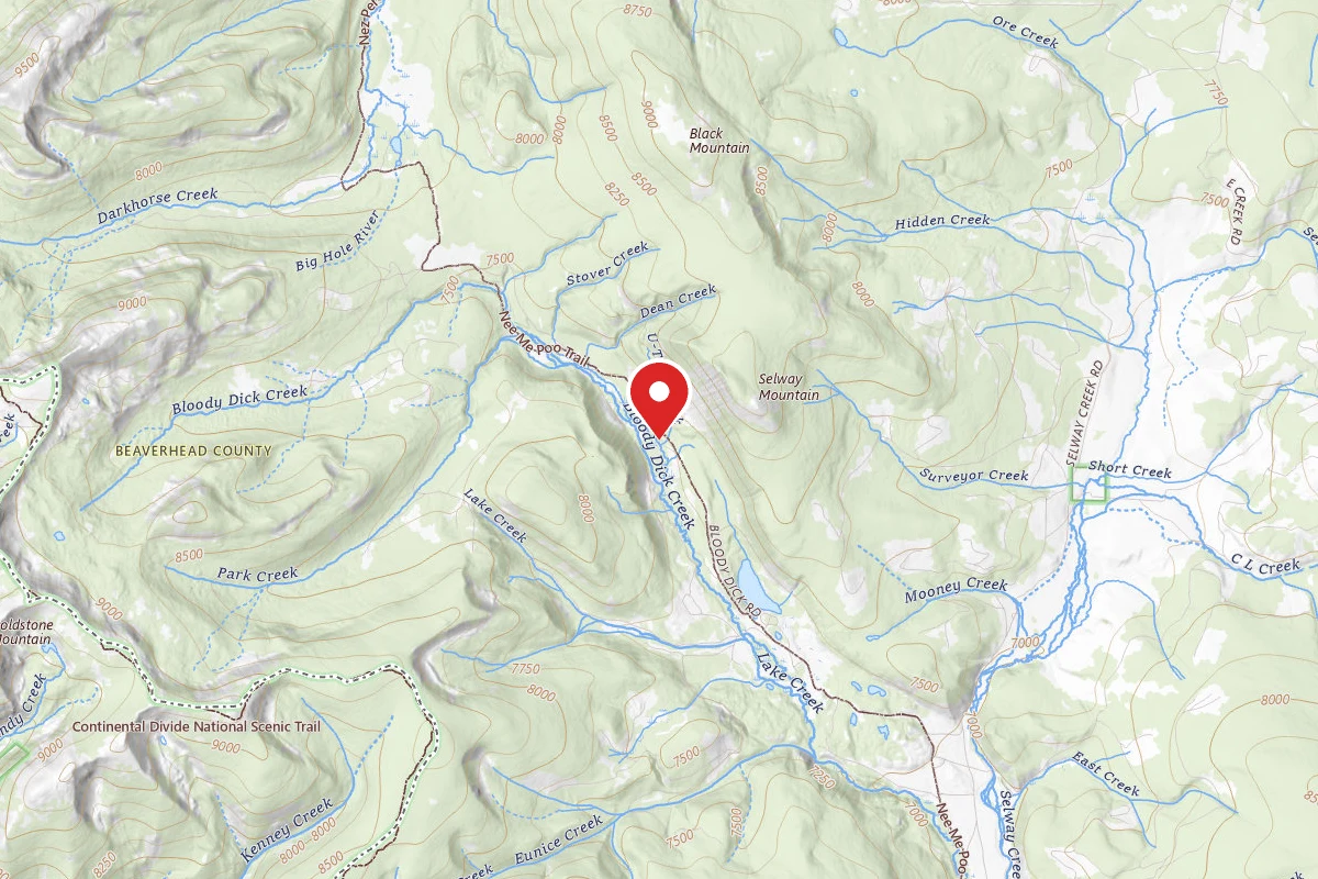 Beaverhead-Deerlodge Dispersed Campsite 181 BRANCH ROAD NO2