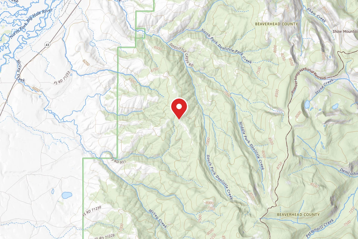 Beaverhead-Deerlodge Dispersed Campsite JUNCTION WITH 71235