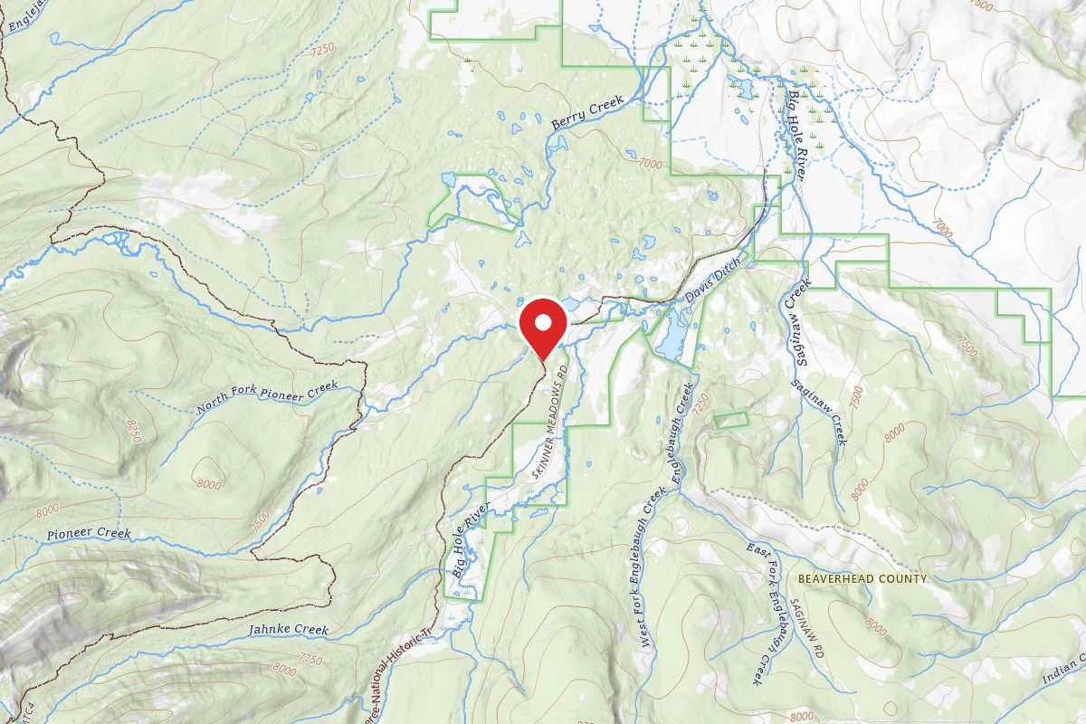 Beaverhead-Deerlodge Dispersed Campsite 318 SITE 4