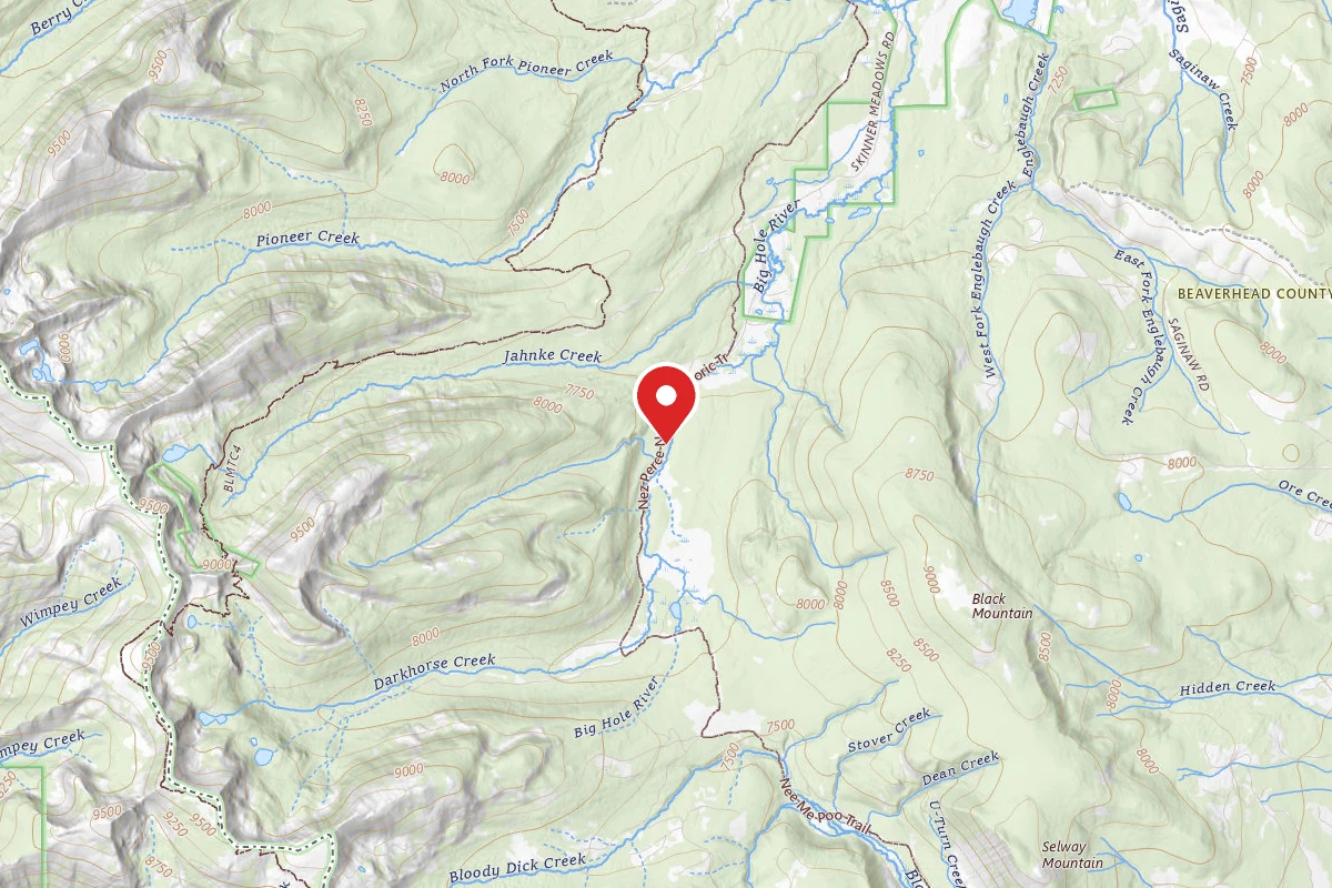 Beaverhead-Deerlodge Dispersed Campsite SITE 2