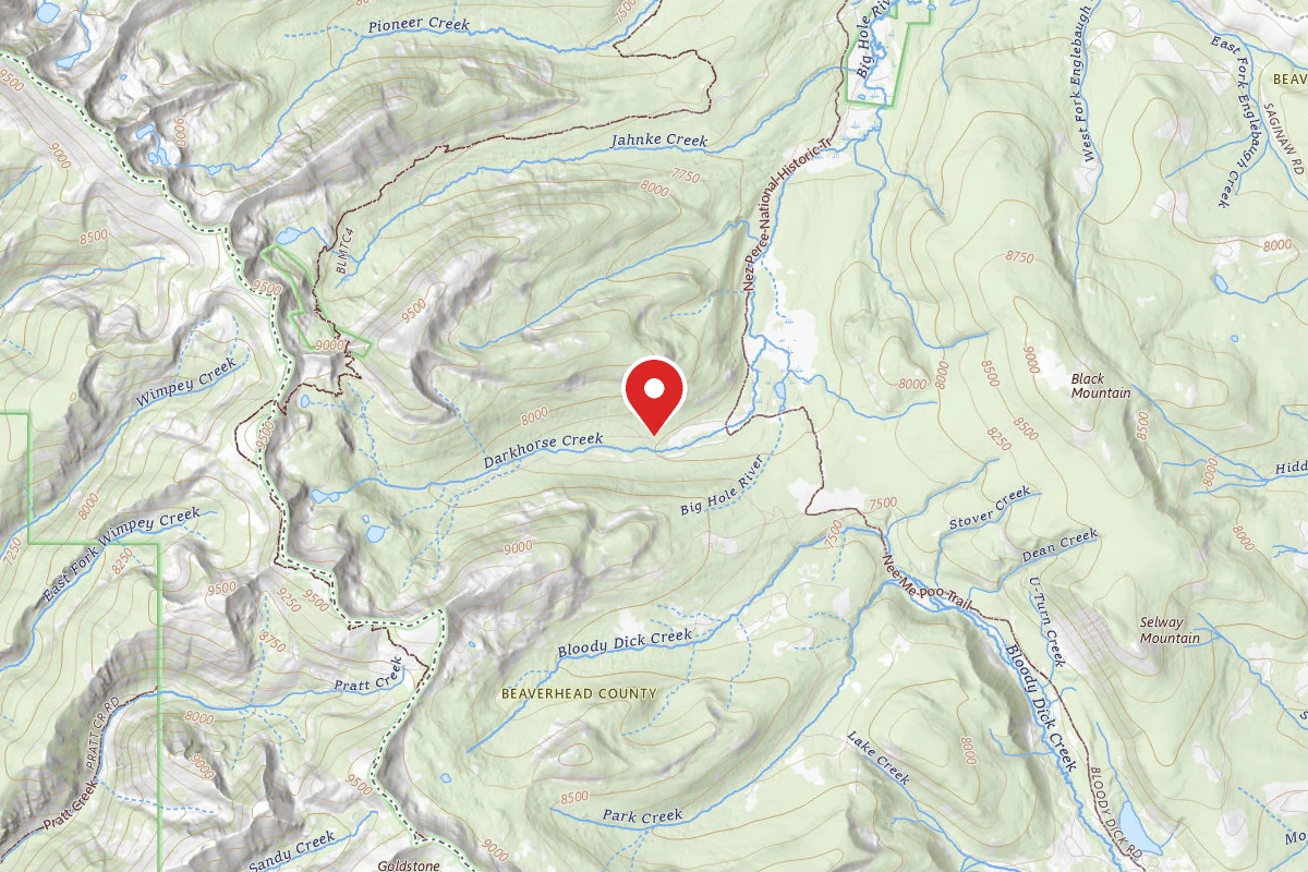 Beaverhead-Deerlodge Dispersed Campsite 9