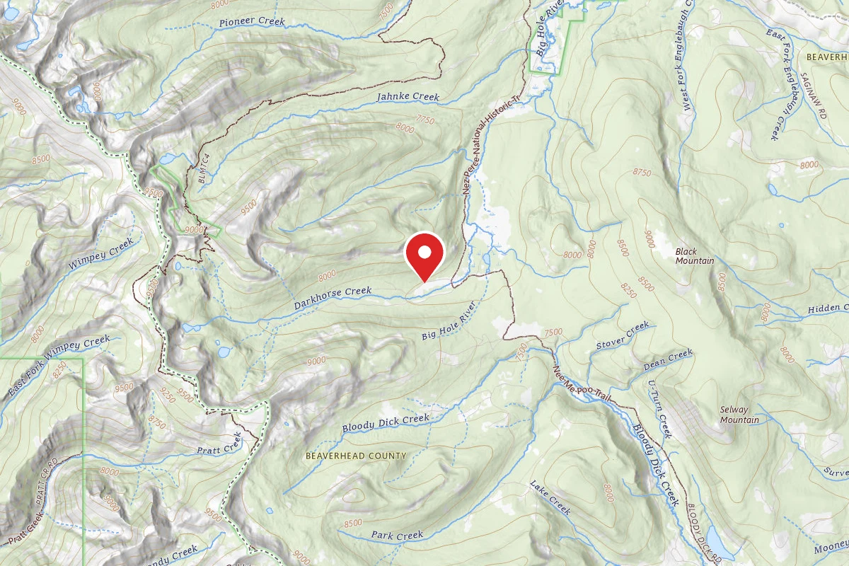 Beaverhead-Deerlodge Dispersed Campsite 10 BEFORE 8 AND 9