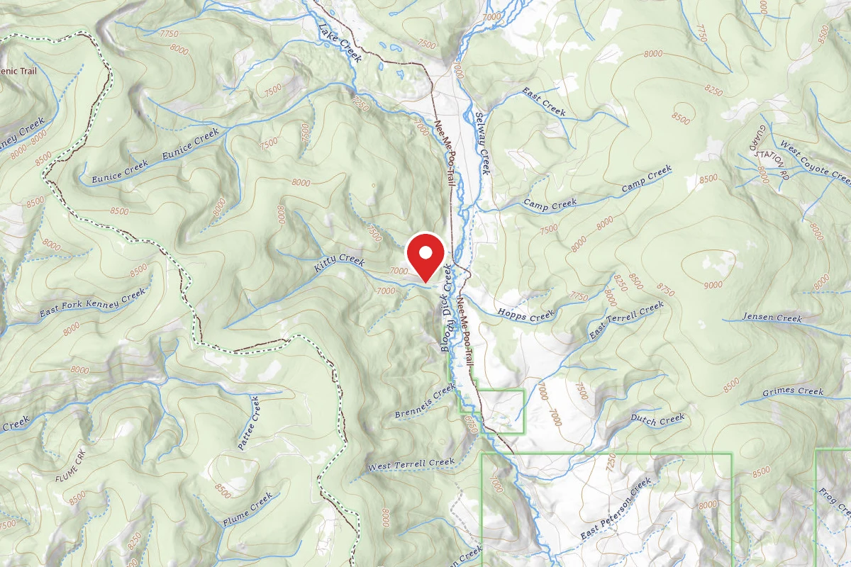 Beaverhead-Deerlodge Dispersed Campsite 3