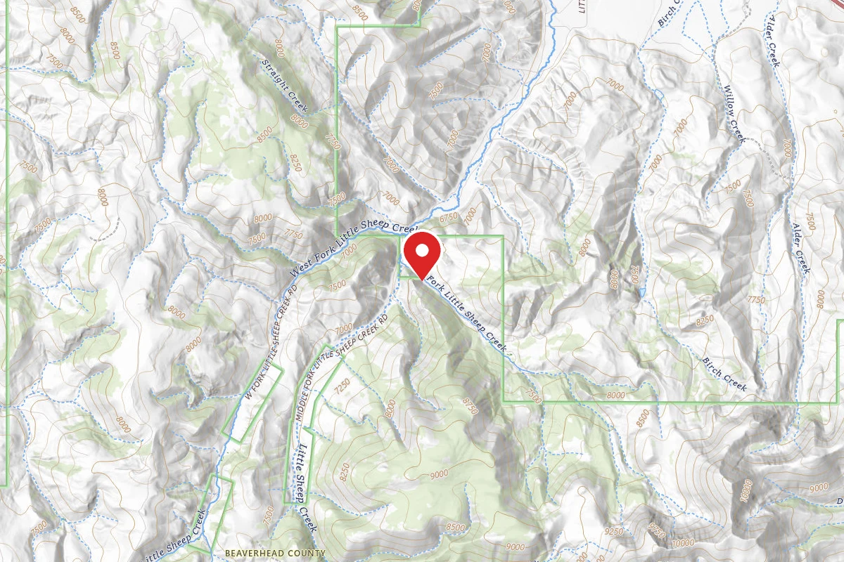Beaverhead-Deerlodge Dispersed Campsite 1