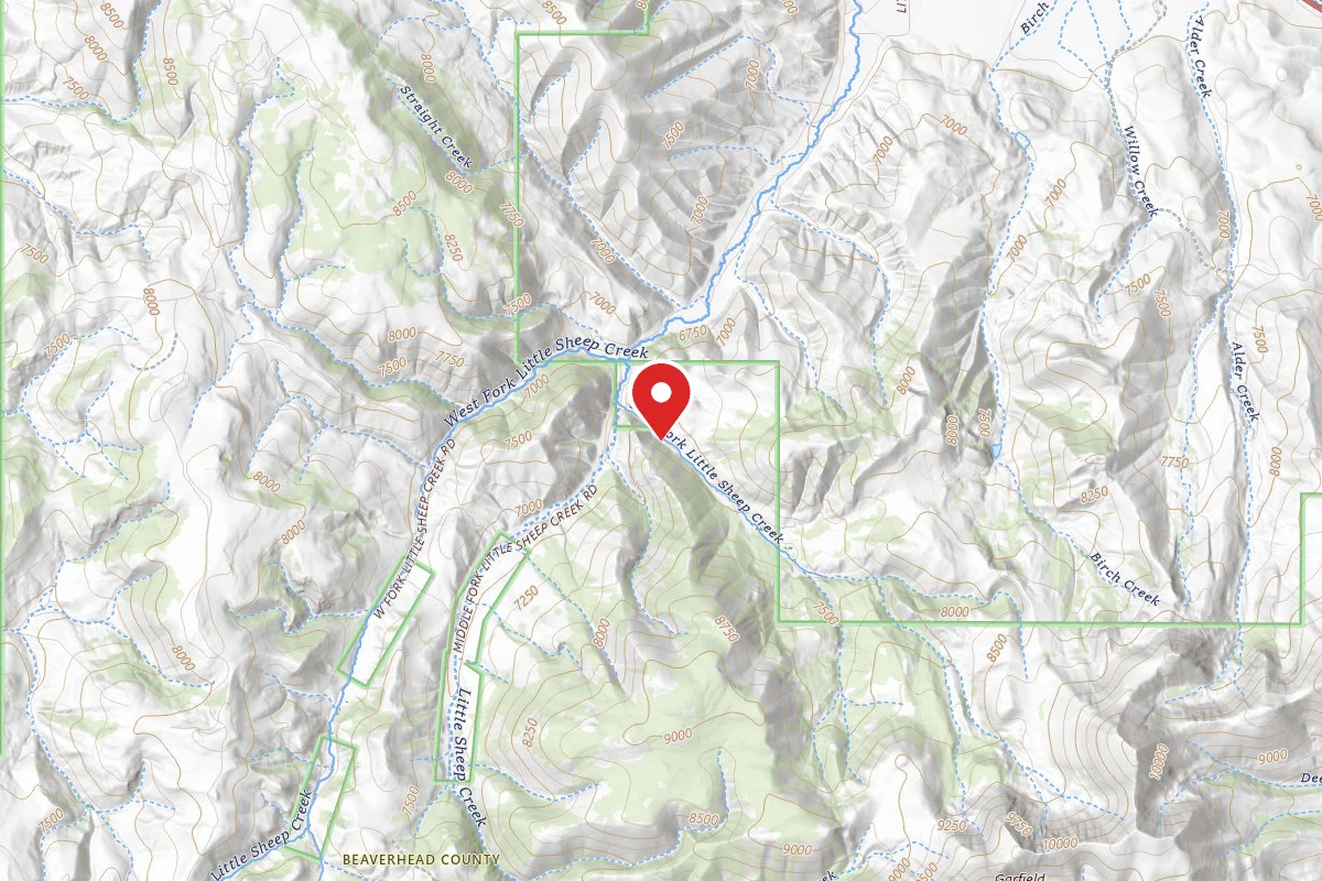 Beaverhead-Deerlodge Dispersed Campsite 2