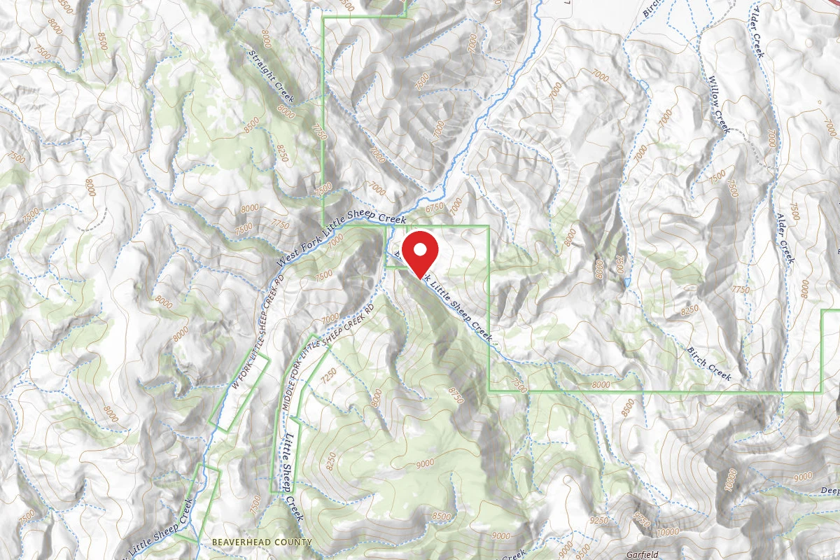 Beaverhead-Deerlodge Dispersed Campsite 3