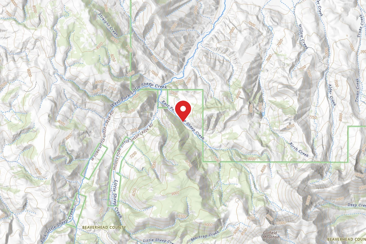Beaverhead-Deerlodge Dispersed Campsite 5