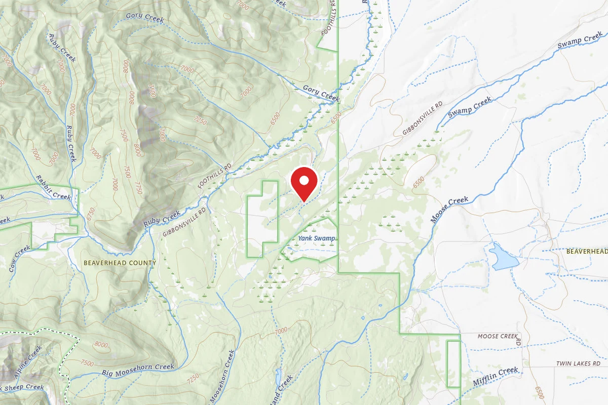 Beaverhead-Deerlodge Dispersed Campsite ACROSS FROM 001