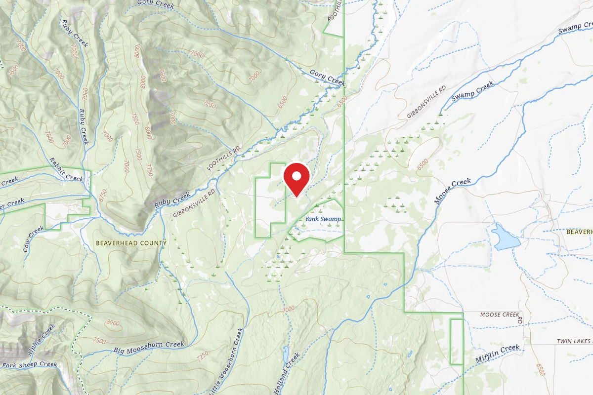 Backbone Stick