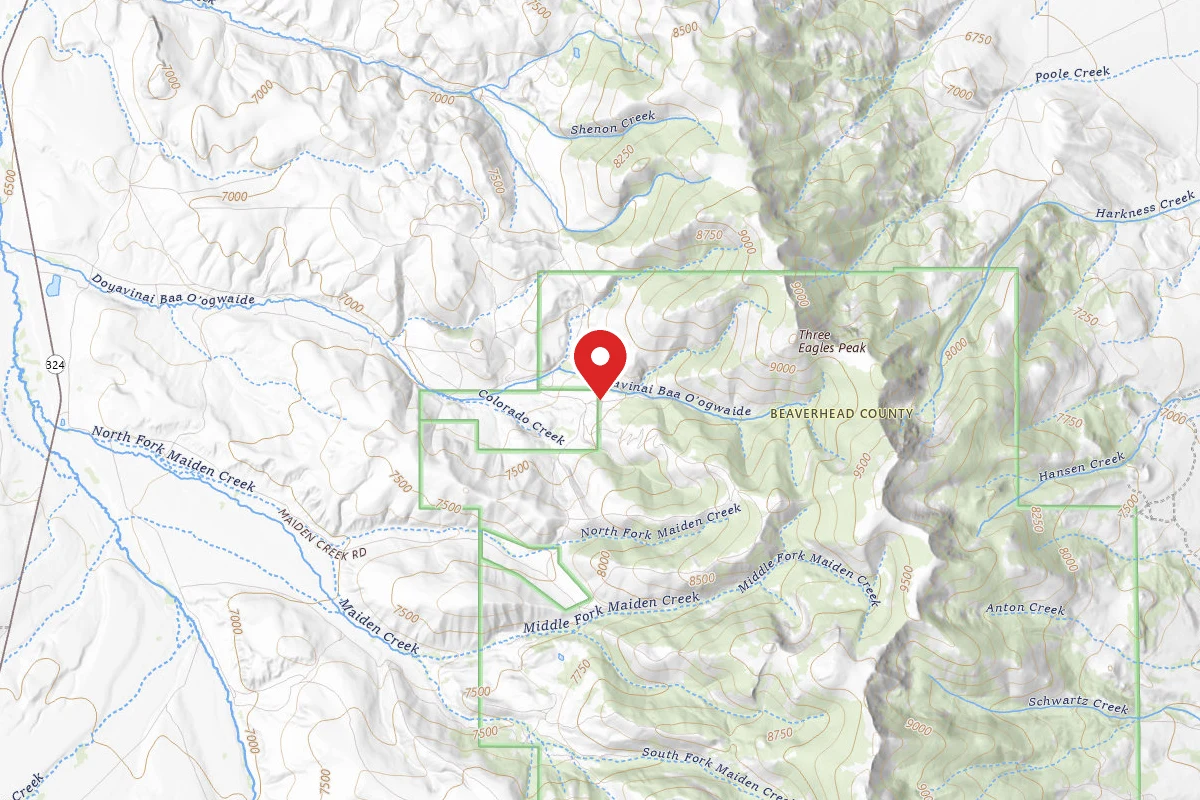 Beaverhead-Deerlodge Dispersed Campsite 1ST SITE