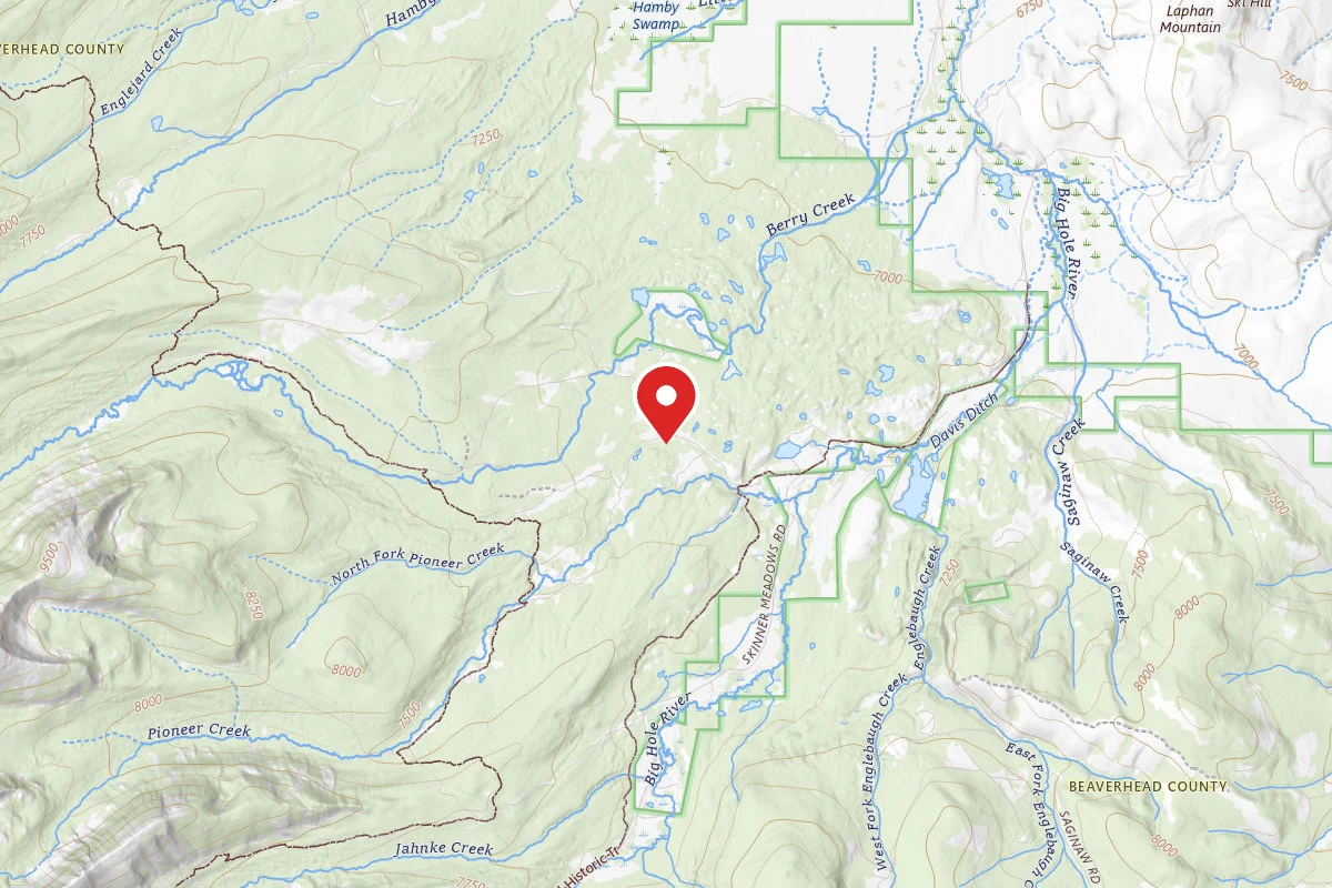 Beaverhead-Deerlodge Dispersed Campsite 71205 SITE 1
