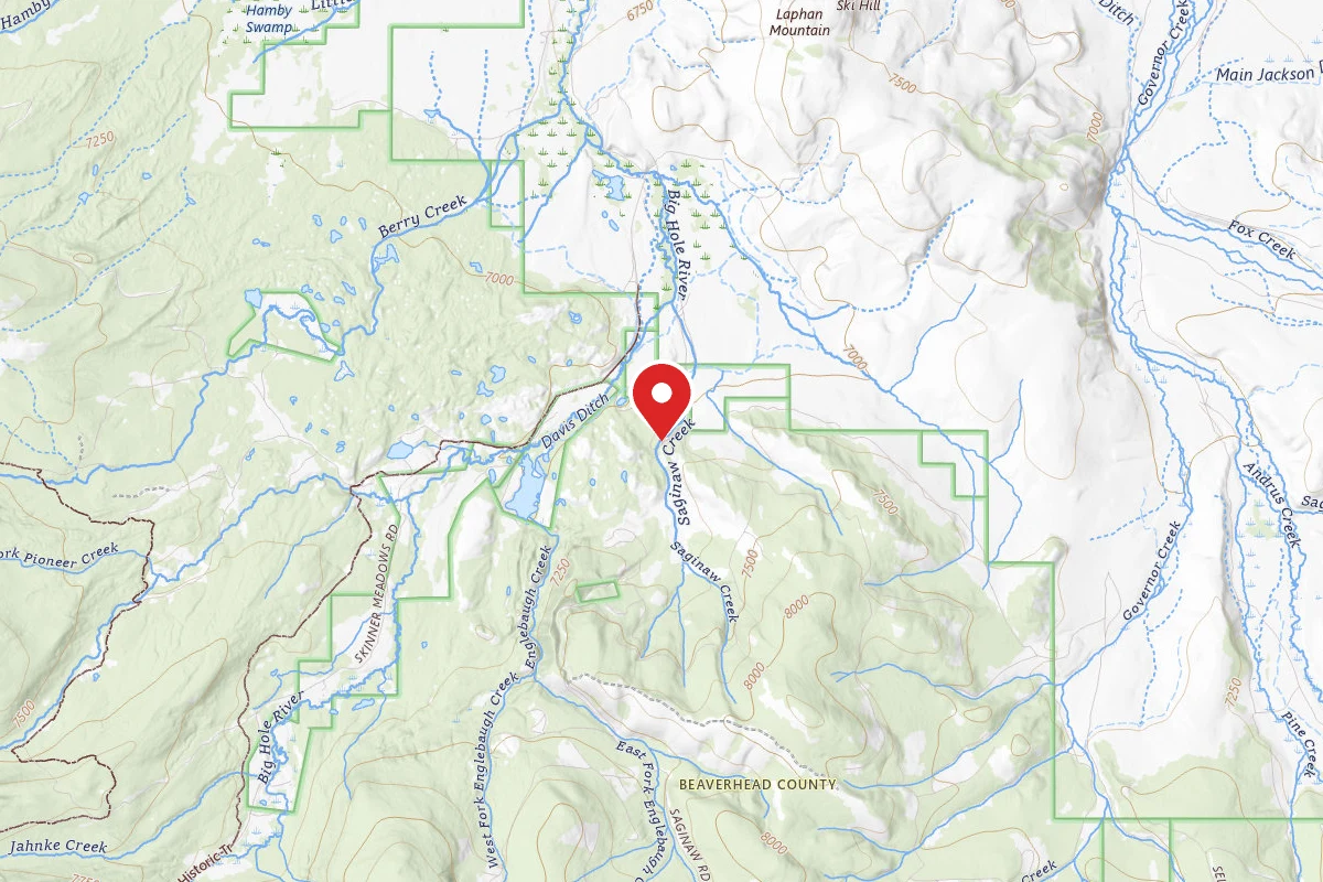 Beaverhead-Deerlodge Dispersed Campsite SITE 2