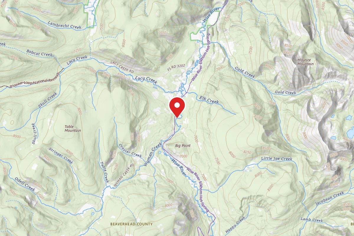 Beaverhead-Deerlodge Dispersed Campsite 4 FIRE SCARS