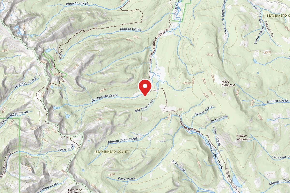 Beaverhead-Deerlodge Dispersed Campsite SITE 1