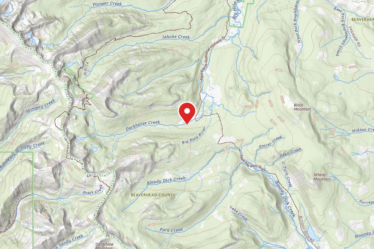 Beaverhead-Deerlodge Dispersed Campsite 2