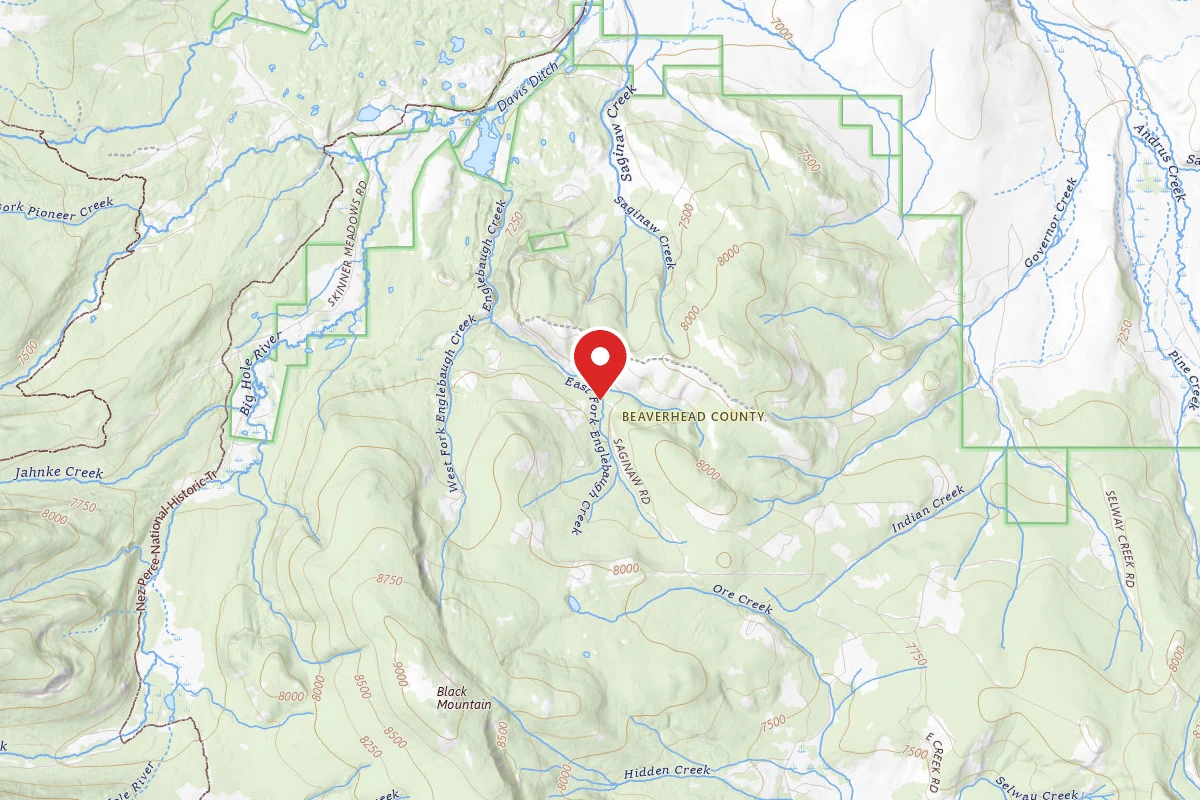 Beaverhead-Deerlodge Dispersed Campsite SITE 1