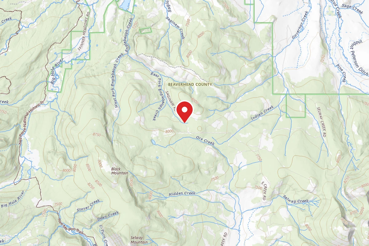 Beaverhead-Deerlodge Dispersed Campsite SITE 4