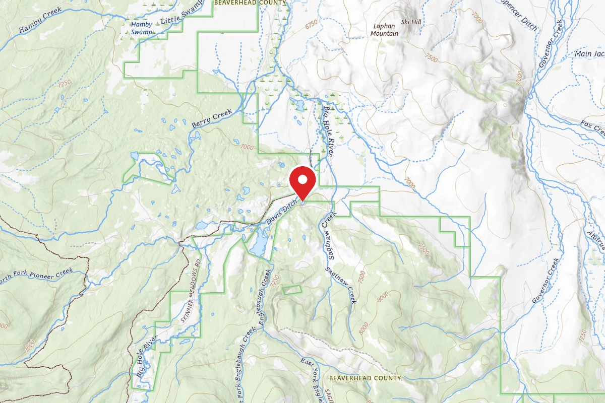 Beaverhead-Deerlodge Dispersed Campsite SITE 1