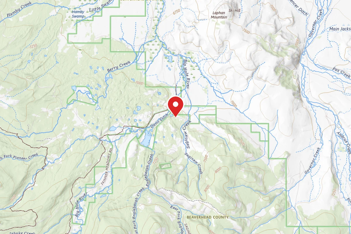 Beaverhead-Deerlodge Dispersed Campsite SITE 2