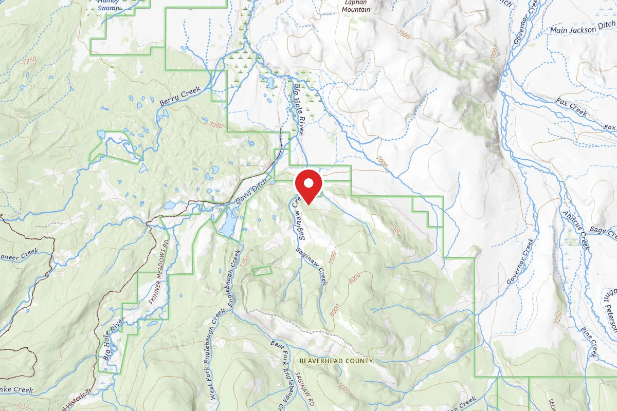 Beaverhead-Deerlodge Dispersed Campsite SITE 3