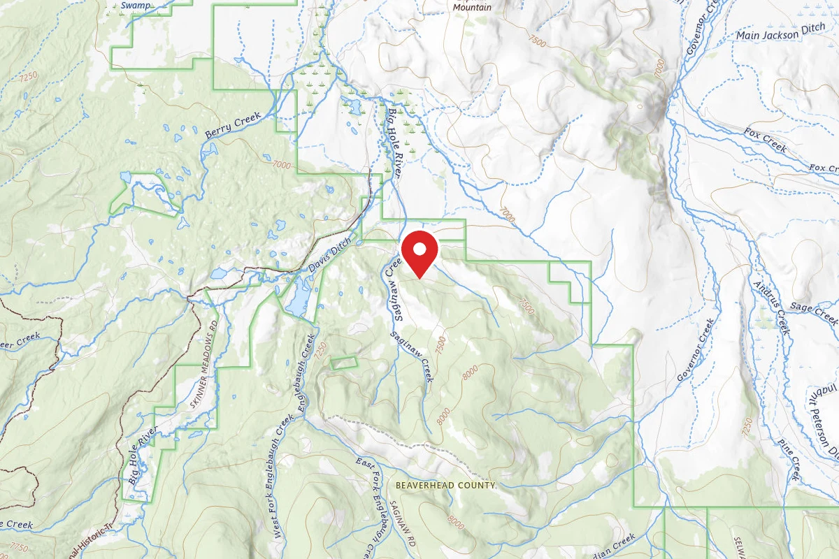 Beaverhead-Deerlodge Dispersed Campsite SITE 4