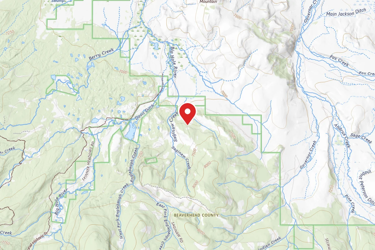 Beaverhead-Deerlodge Dispersed Campsite SITE 7