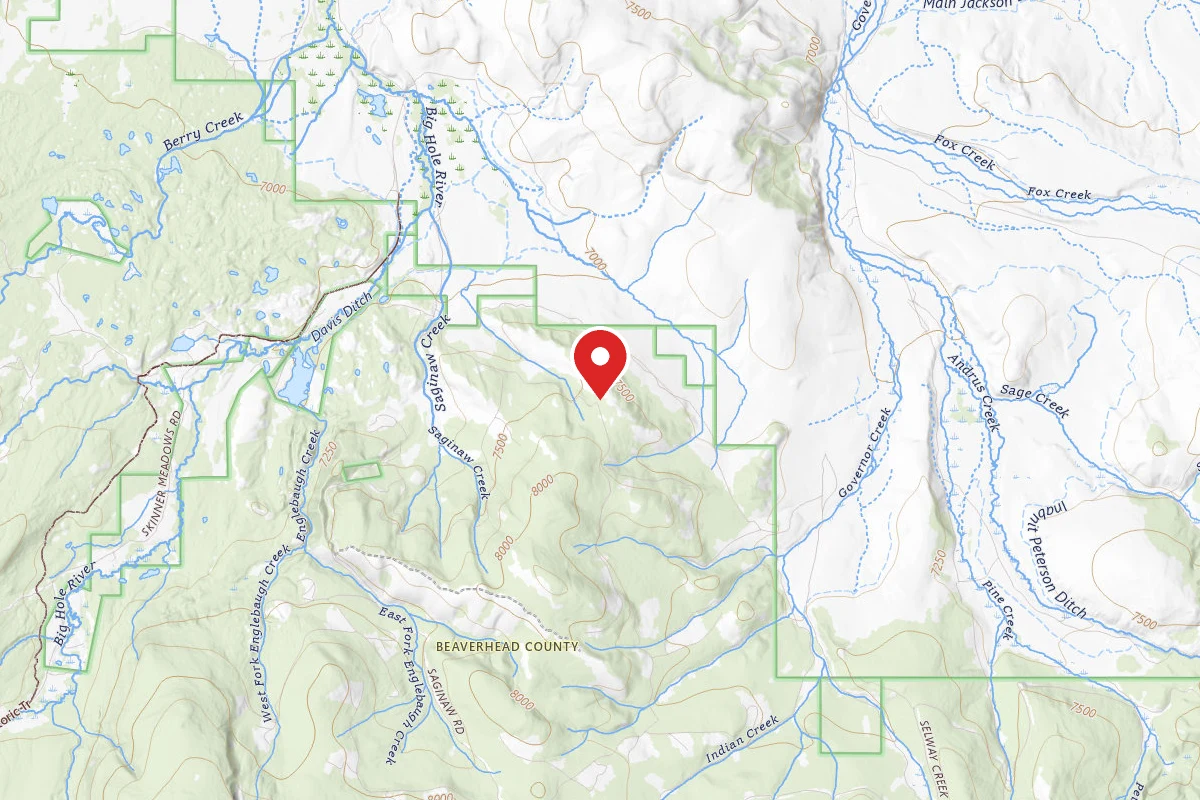 Beaverhead-Deerlodge Dispersed Campsite SITE 8