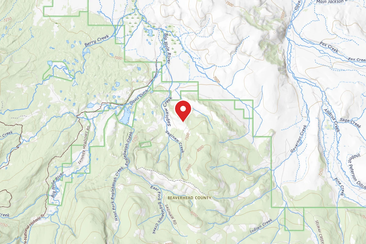 Beaverhead-Deerlodge Dispersed Campsite SITE 9