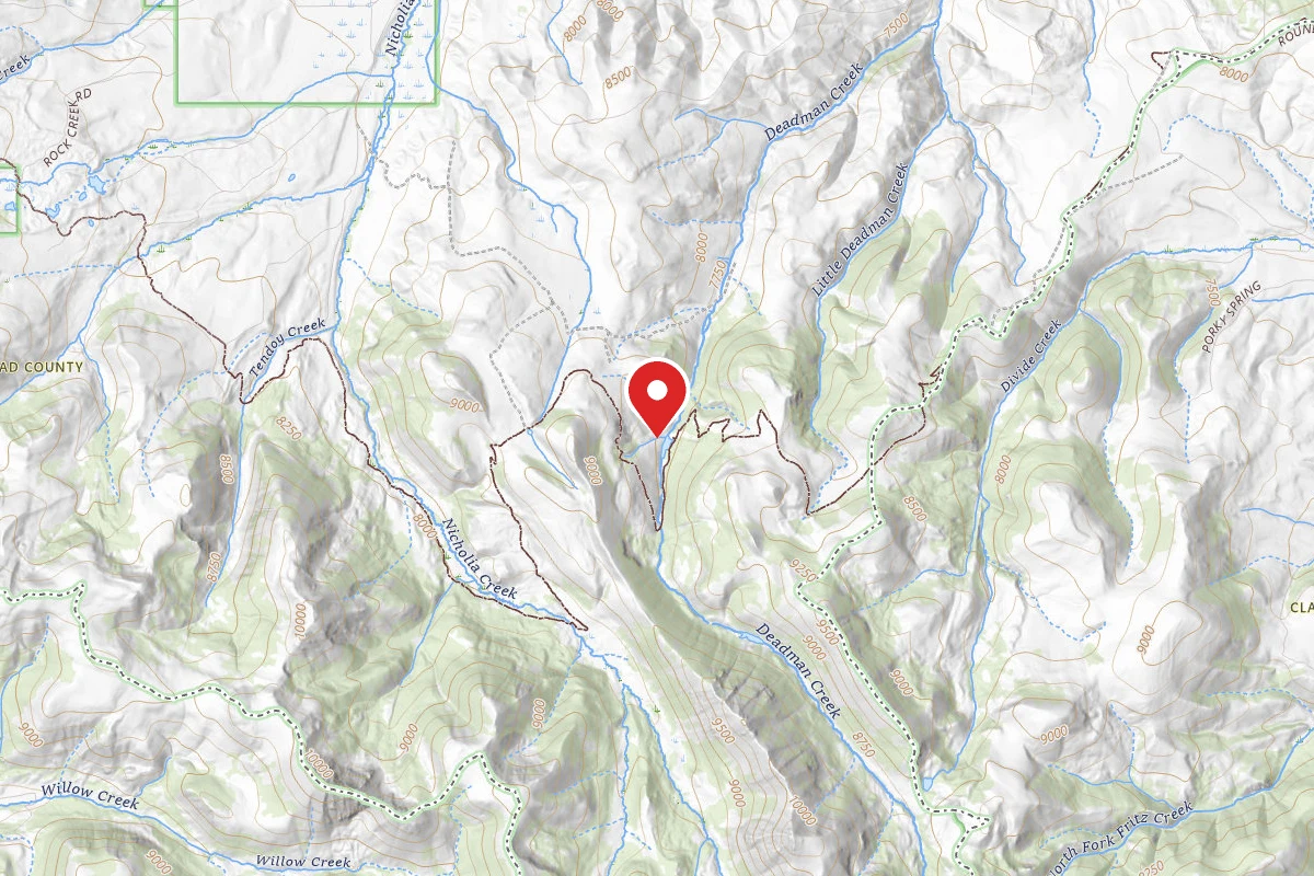 Beaverhead-Deerlodge Dispersed Campsite LAKE 01