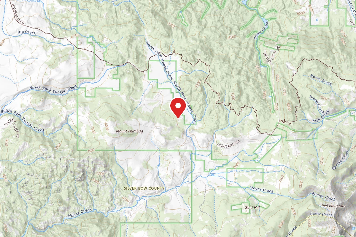 Beaverhead-Deerlodge Dispersed Campsite 84-1