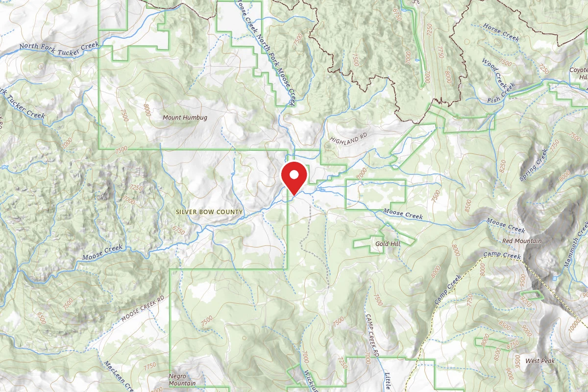 Beaverhead-Deerlodge Dispersed Campsite 239-2
