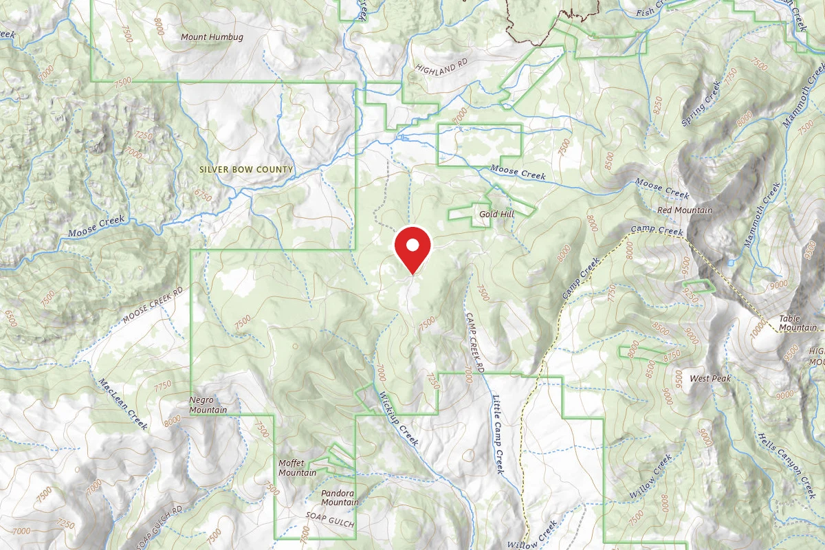 Beaverhead-Deerlodge Dispersed Campsite 599-1