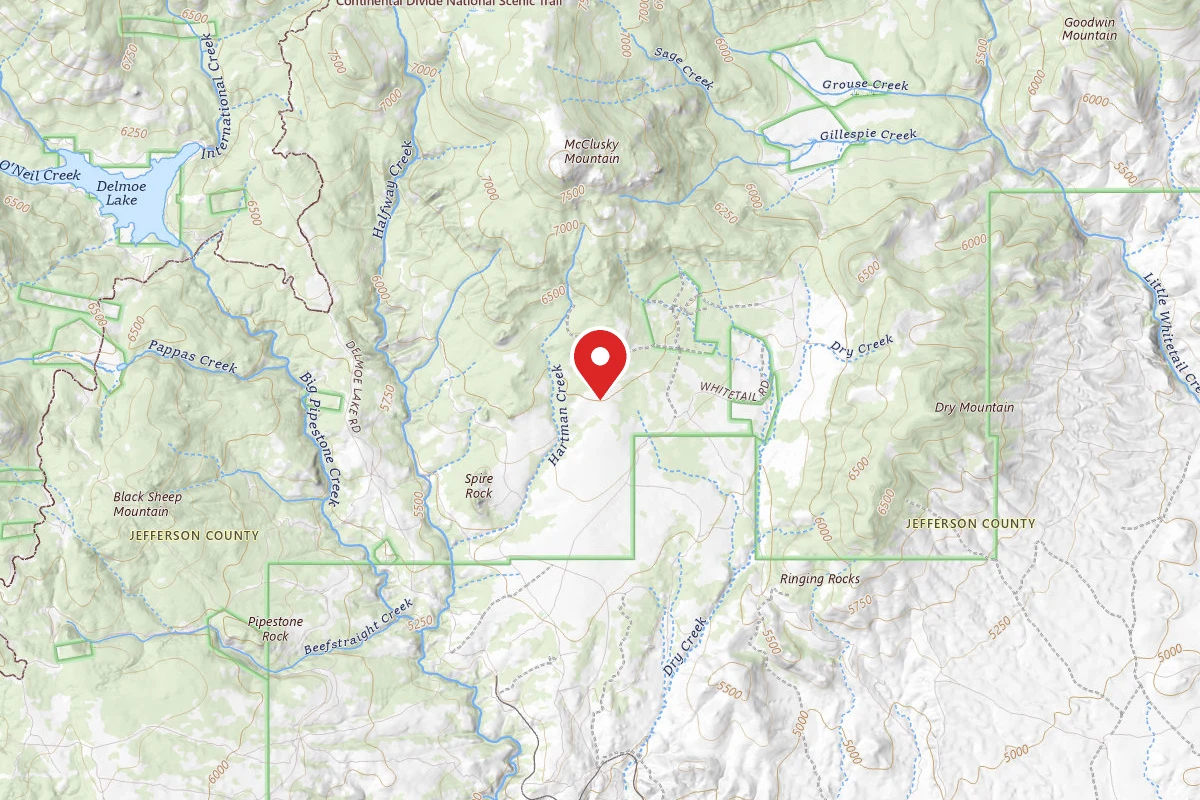 Beaverhead-Deerlodge Dispersed Campsite 100200050201-023D