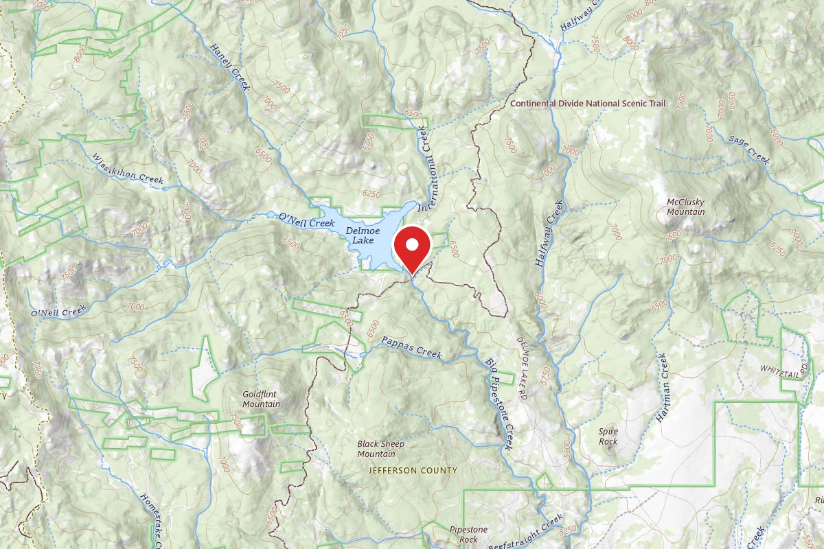 Beaverhead-Deerlodge Dispersed Campsite 100200050201-029B