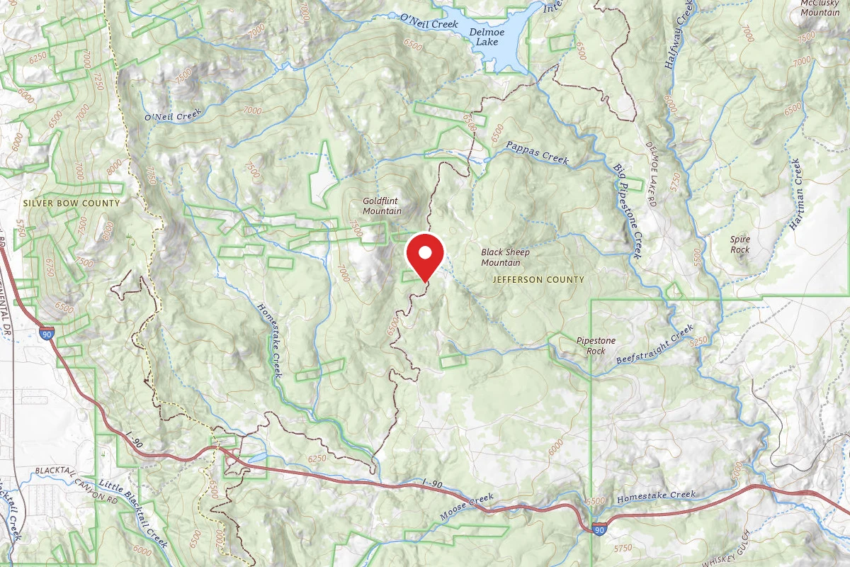 Beaverhead-Deerlodge Dispersed Campsite 100200050201-17