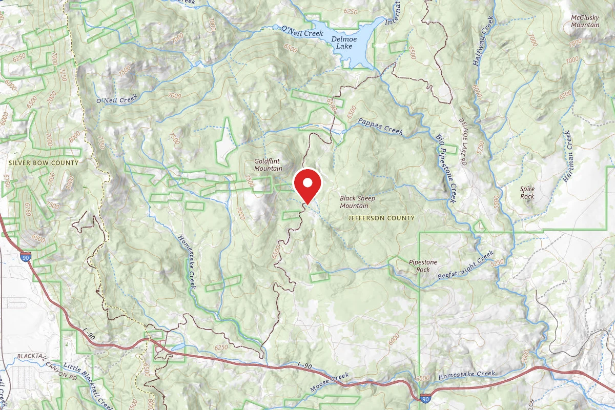 Beaverhead-Deerlodge Dispersed Campsite 100200050201-19