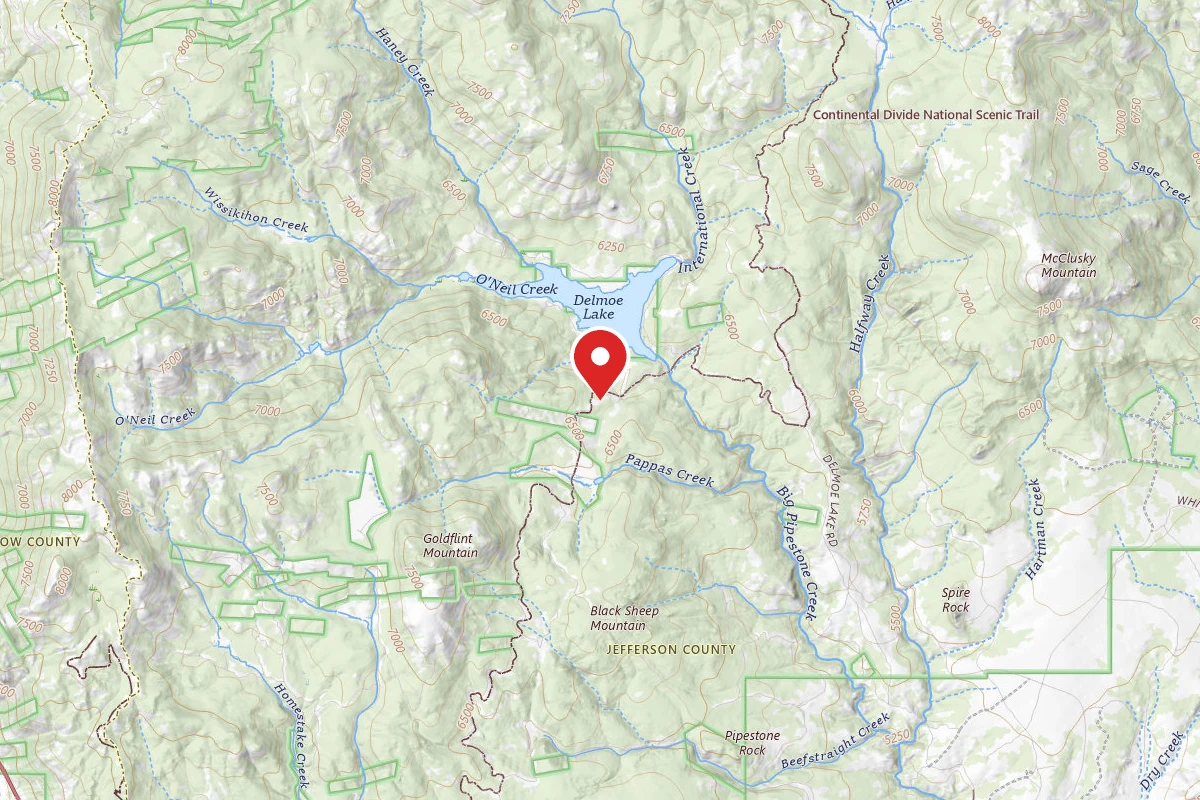 Beaverhead-Deerlodge Dispersed Campsite 100200050201-21