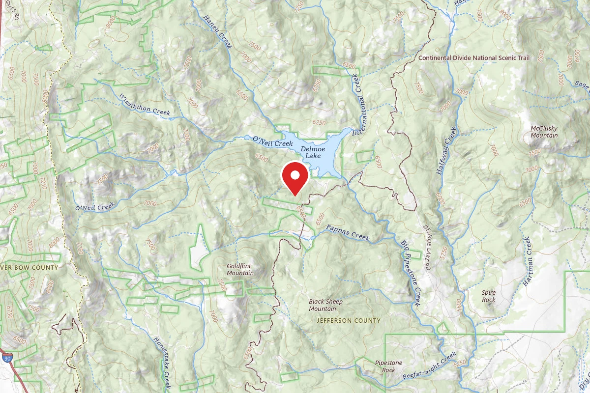 Beaverhead-Deerlodge Dispersed Campsite 100200050201-212