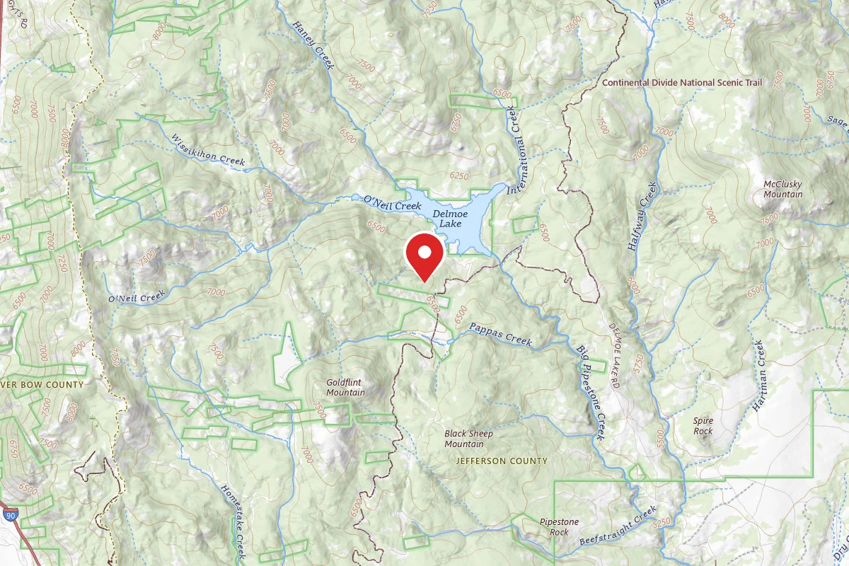 Beaverhead-Deerlodge Dispersed Campsite 100200050201-22