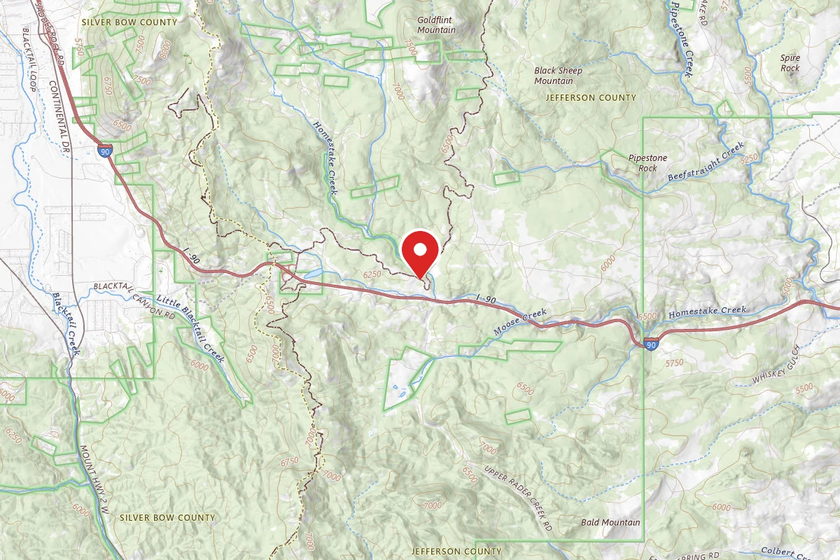 Beaverhead-Deerlodge Dispersed Campsite 100200050202-011