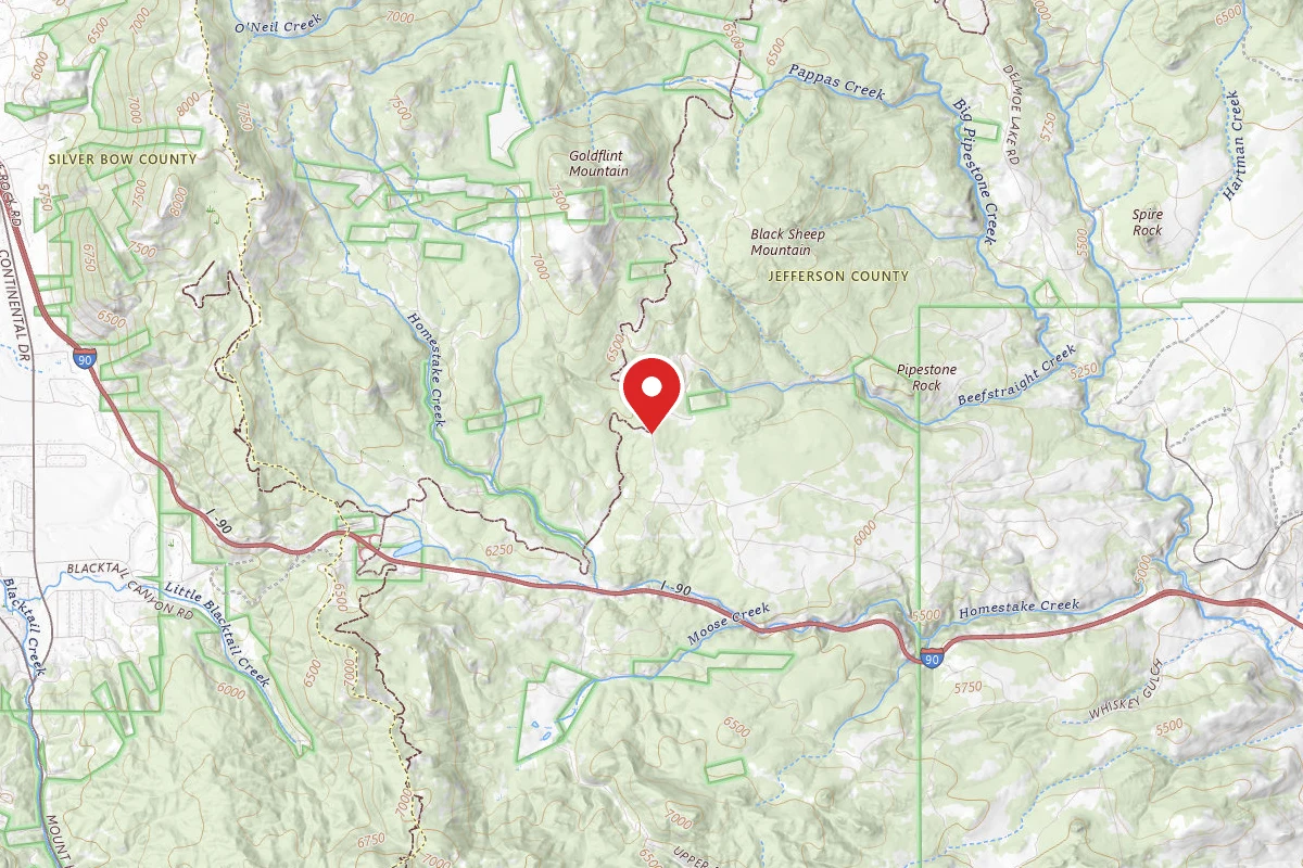 Beaverhead-Deerlodge Dispersed Campsite 100200050202-013