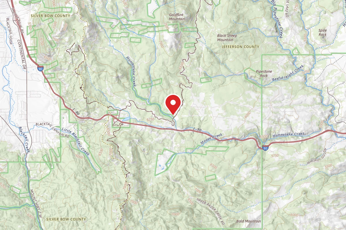 Beaverhead-Deerlodge Dispersed Campsite 100200050202-201
