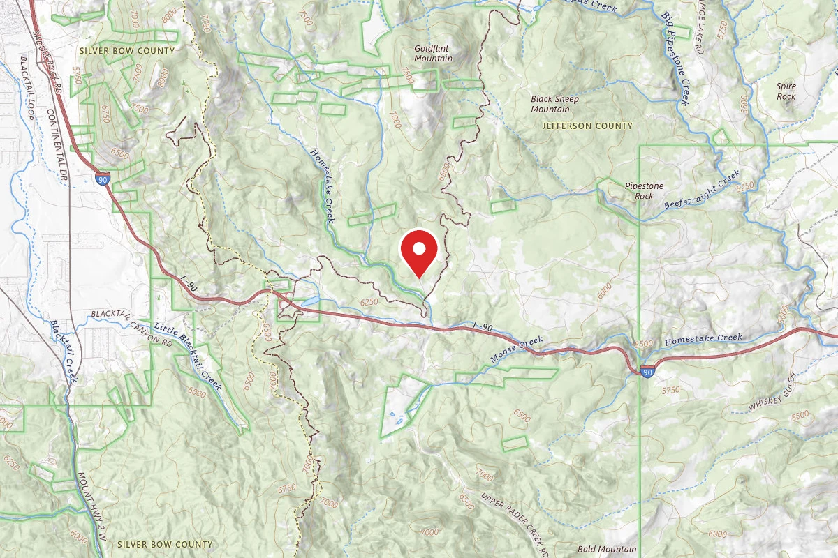 Beaverhead-Deerlodge Dispersed Campsite 100200050202-202