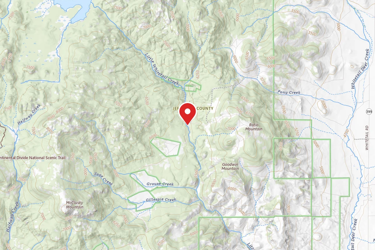 Beaverhead-Deerlodge Dispersed Campsite 100200050205-001
