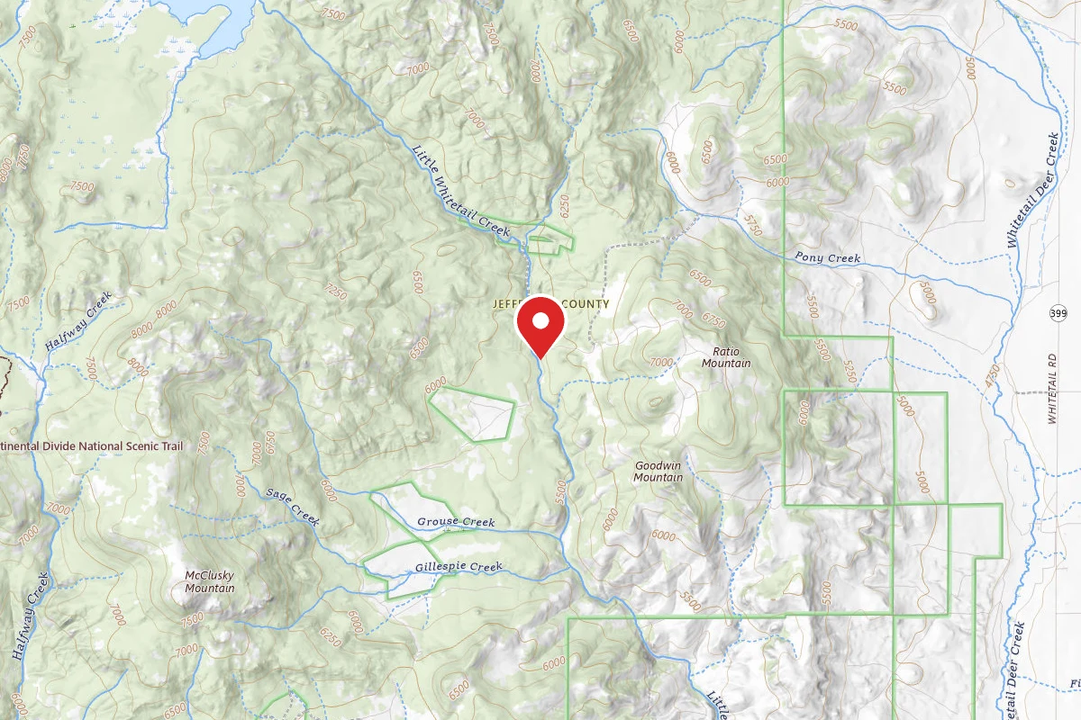 Beaverhead-Deerlodge Dispersed Campsite 100200050205-002