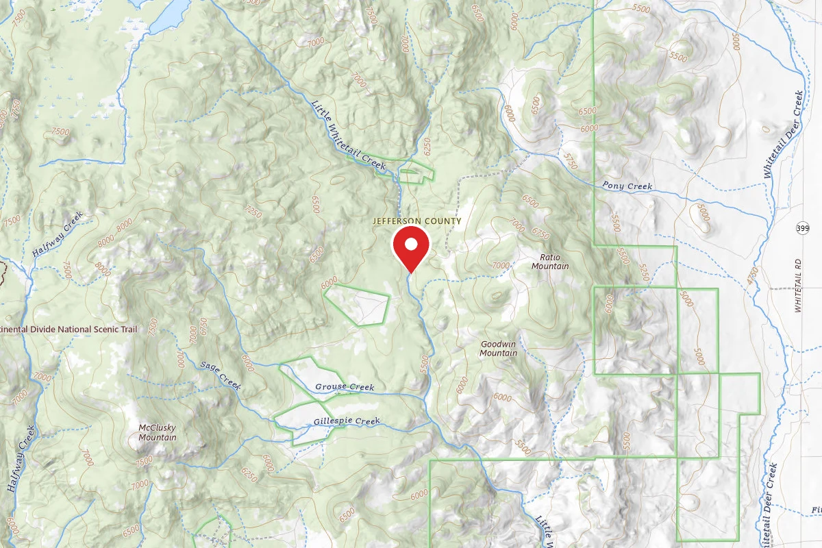 Beaverhead-Deerlodge Dispersed Campsite 100200050205-004