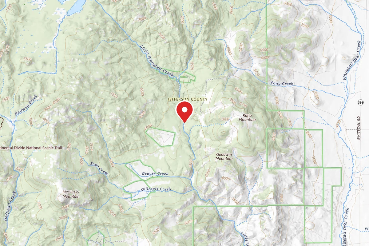 Beaverhead-Deerlodge Dispersed Campsite 100200050205-005