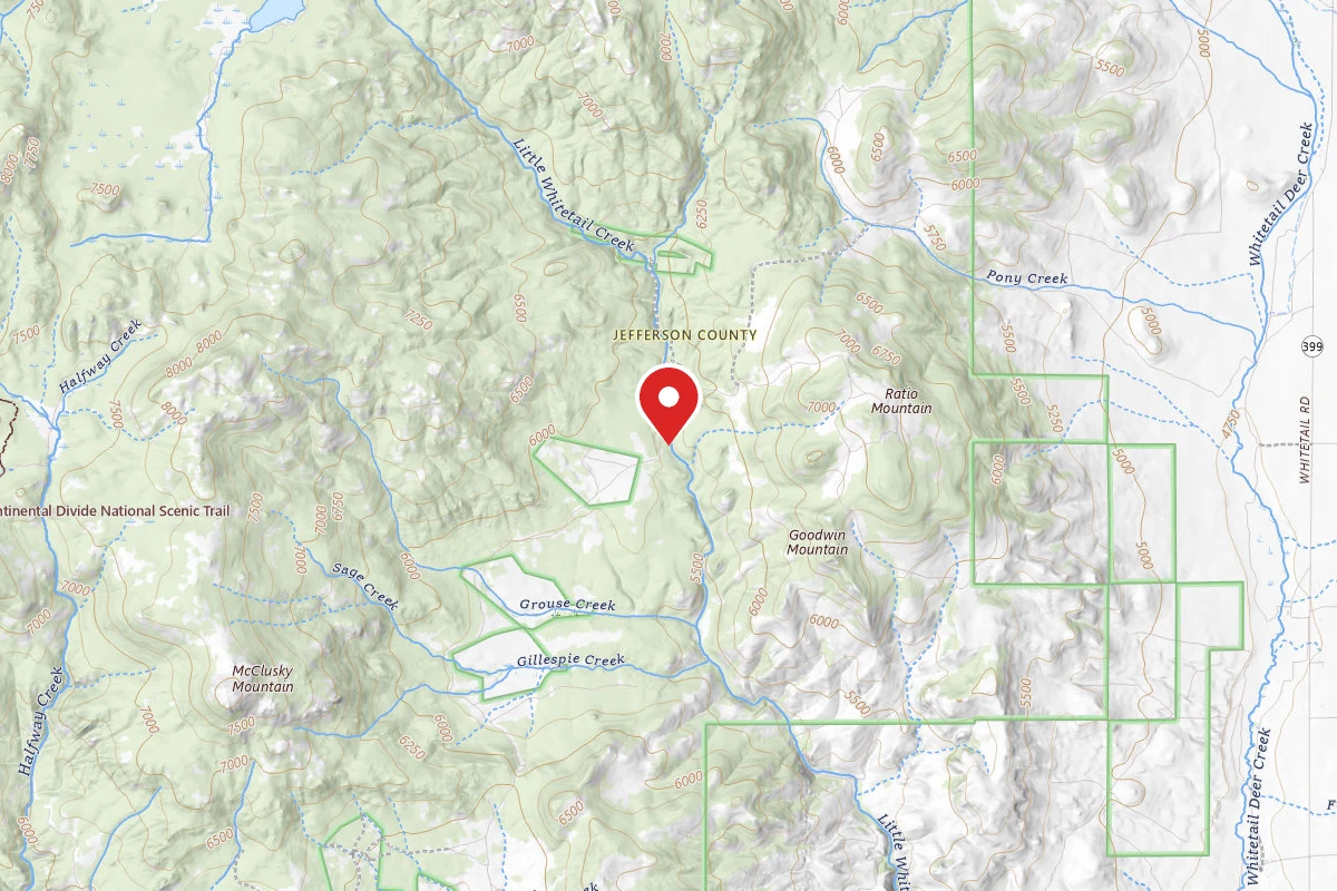 Beaverhead-Deerlodge Dispersed Campsite 100200050205-006B