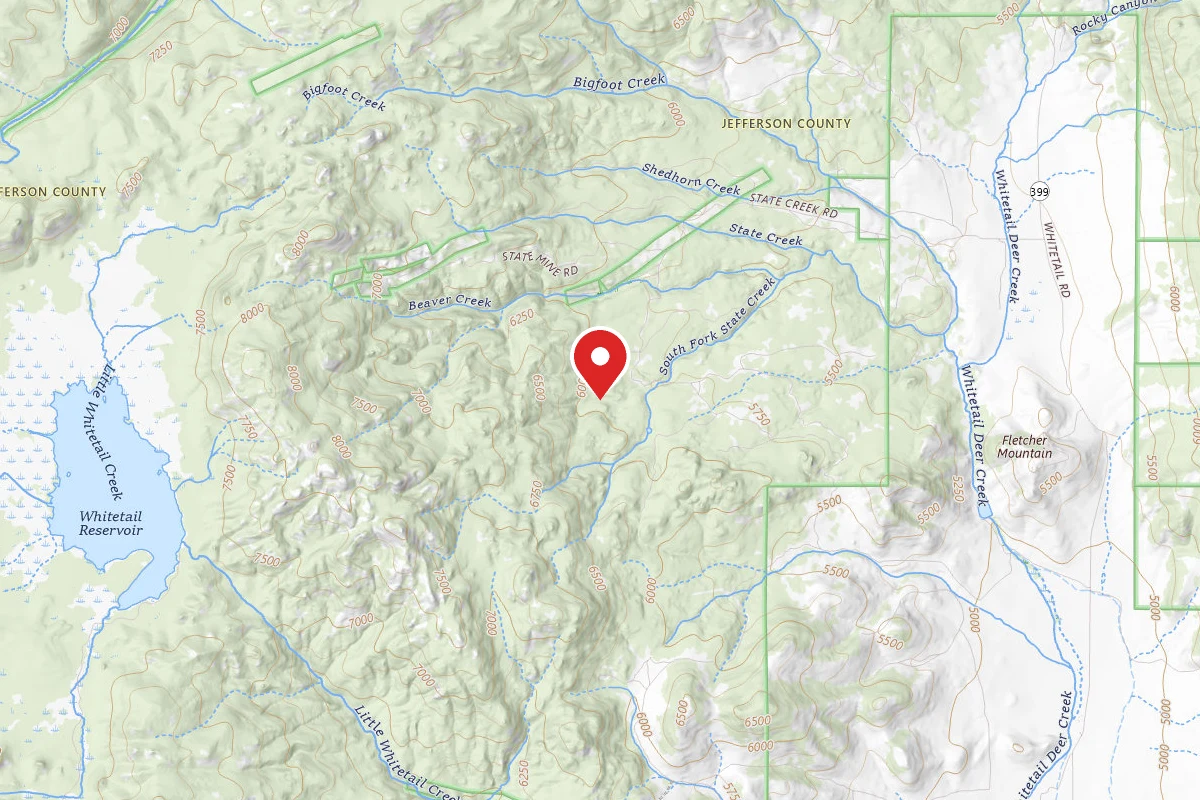 Beaverhead-Deerlodge Dispersed Campsite 100200050301-040