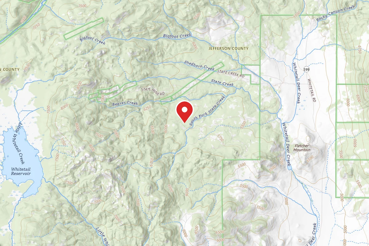 Beaverhead-Deerlodge Dispersed Campsite 100200050301-041